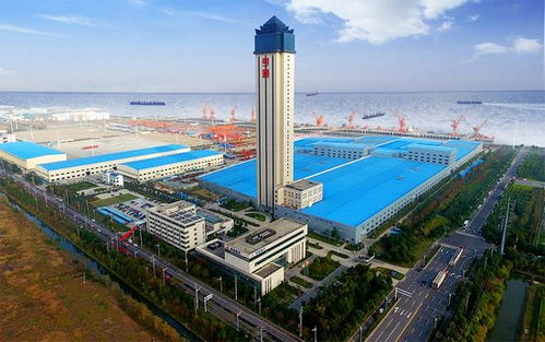 八大光企業績出爐 高光背后，新能源技術開發的機遇與挑戰