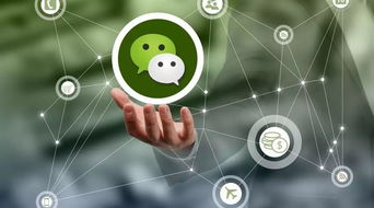 奎屯人,微信再次重拳出擊,這些頭像 昵稱或發布這些內容將被永久封號